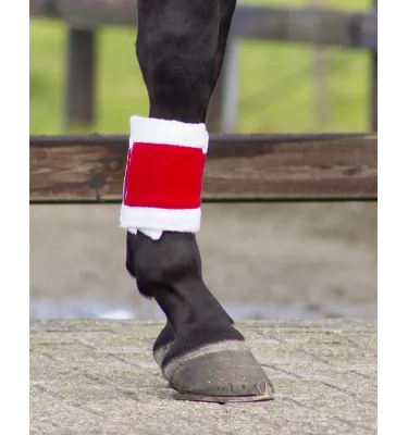 Bandaże świąteczne dla konia