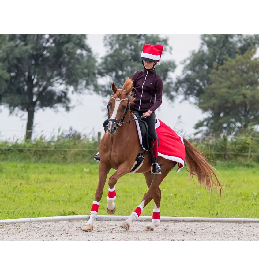 Bandaże świąteczne dla konia