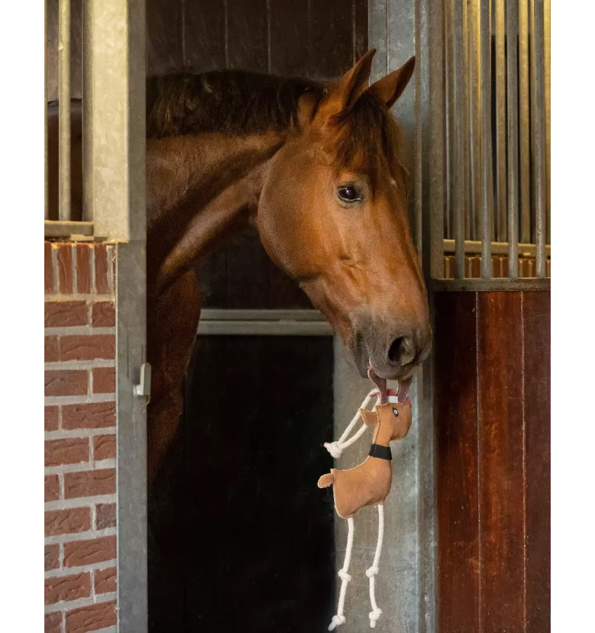 Zabawka dla konia głowa rudolf