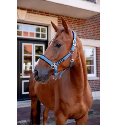Kantar dla konia B/Vertigo niebieski cob