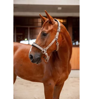 Kantar dla konia B/Vertigo niebieski cob