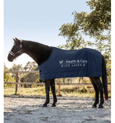 Derka chłodząca Ice Layer 125