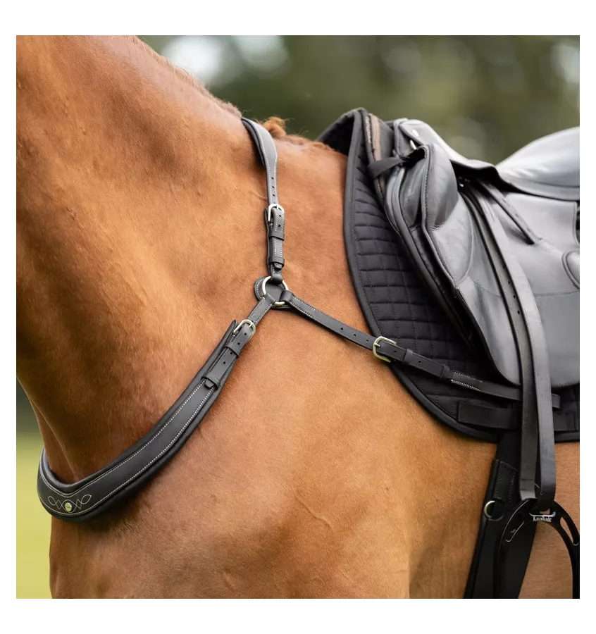 Napierśnik skórzany Jerome brąz