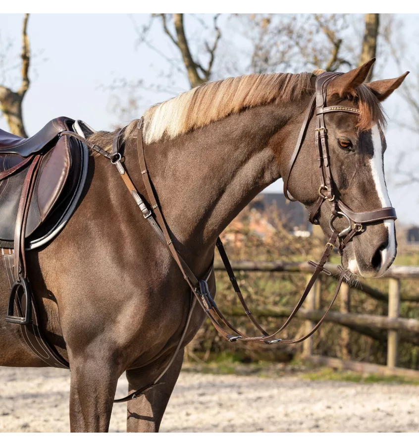 Napierśnik skórzany dla konia Basic Pro czarny cob