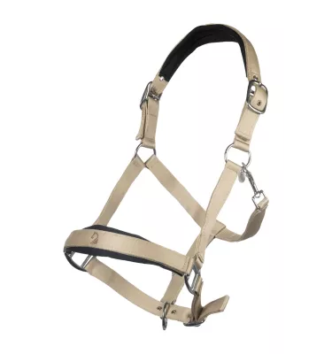 Kantar dla konia Amalfi