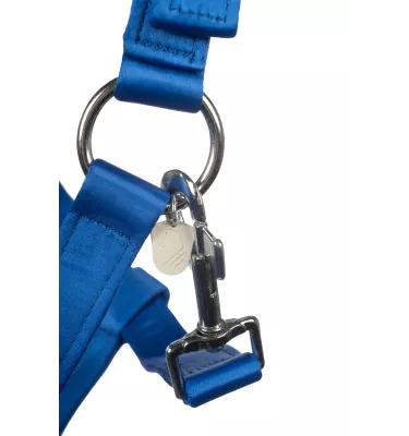 Kantar dla konia Amalfi