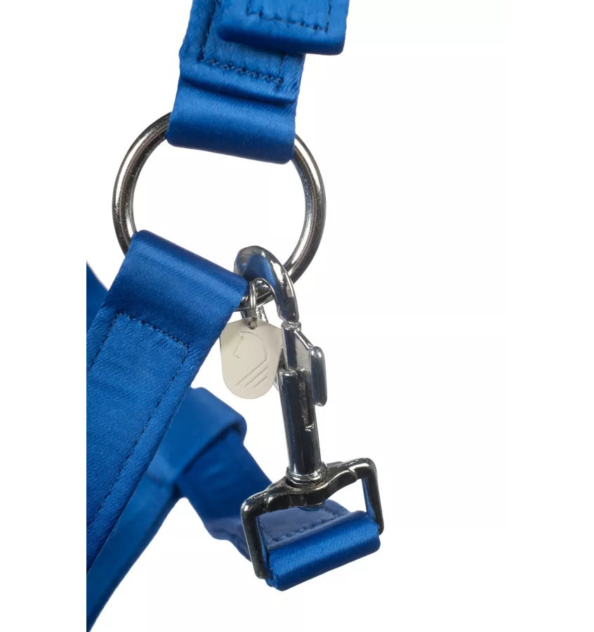 Kantar dla konia Amalfi