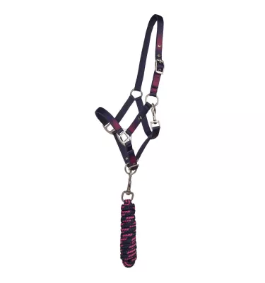 Kantar z uwiązem dla kucyka Jaily Ombre pony