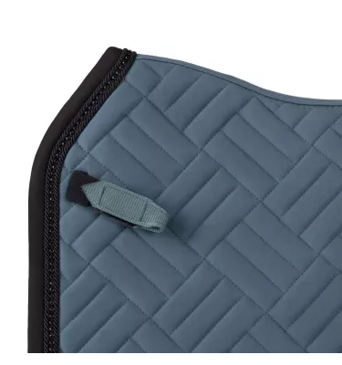 Czaprak wszechstronny Micah