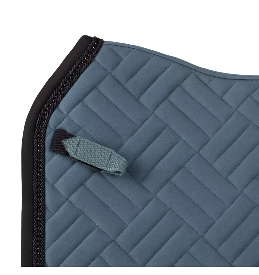 Czaprak wszechstronny Micah