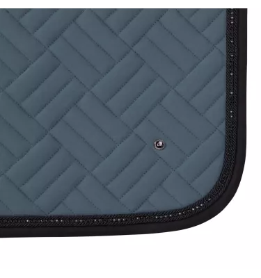 Czaprak wszechstronny Micah