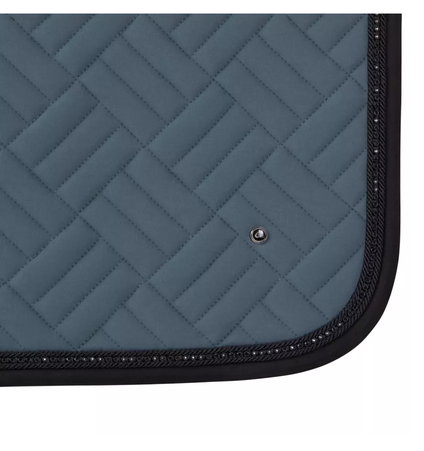 Czaprak wszechstronny Micah