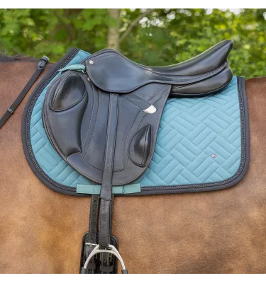 Czaprak wszechstronny Micah