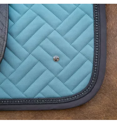 Czaprak wszechstronny Micah