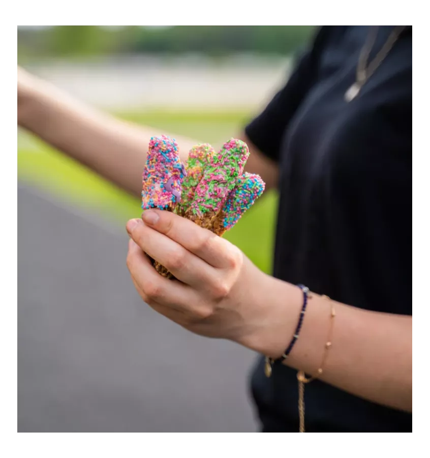 Lizaki dla koni 9 szt