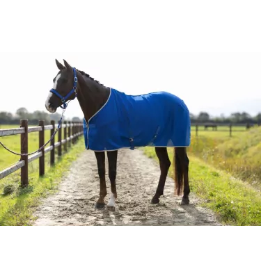 Derka siatkowa dla konia Amalfi