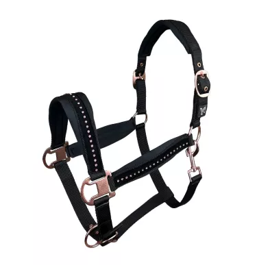 Kantar Mergo czarny cob