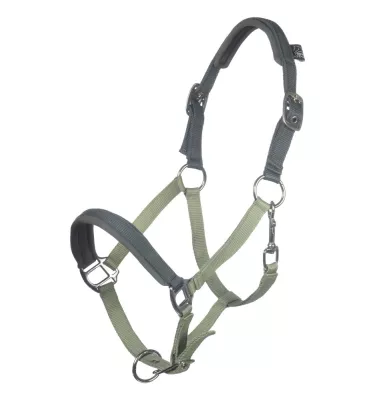 Kantar dla kucyka Barnie róż mini shet