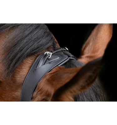 Ogłowie anatomiczne dla konia Covalliero cob