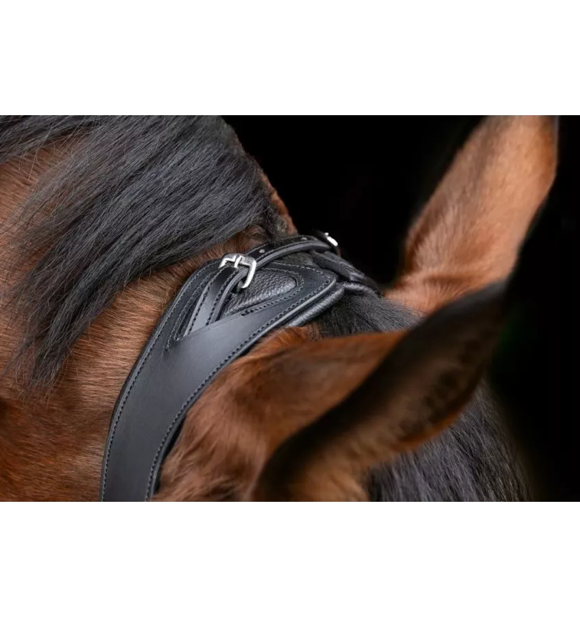 Ogłowie anatomiczne dla konia Covalliero cob