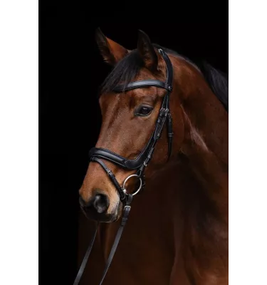 Ogłowie anatomiczne dla konia Covalliero cob