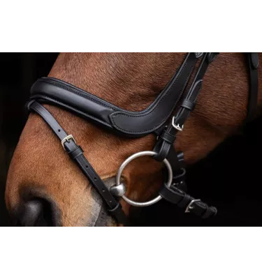 Ogłowie anatomiczne dla konia Covalliero cob