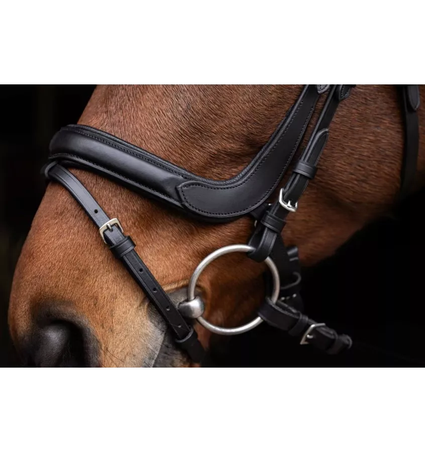 Ogłowie anatomiczne dla konia Covalliero cob