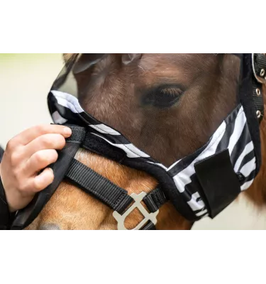 Maska zebra dla szetlanda