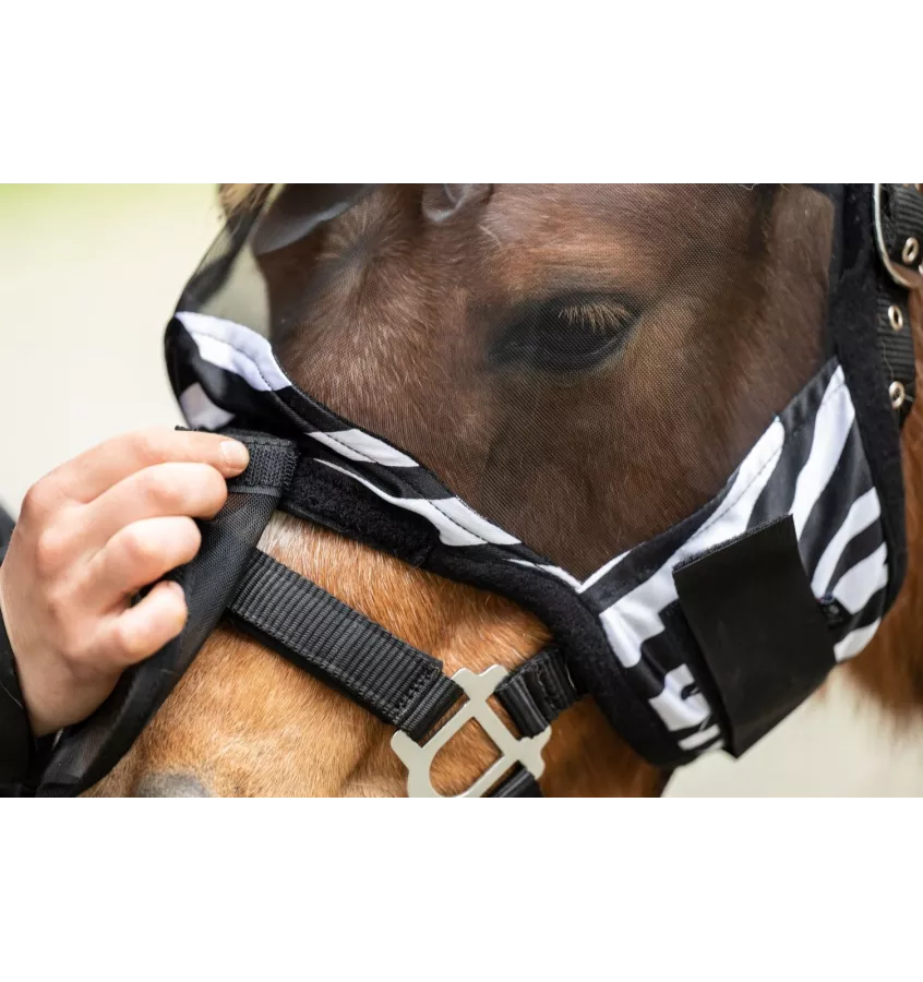 Maska zebra dla szetlanda