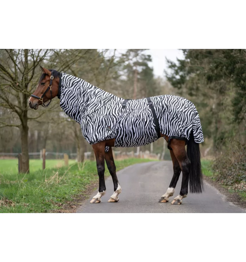 Derka siatkowa Zebra