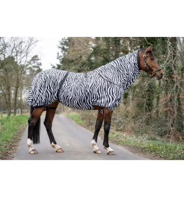 Derka siatkowa Zebra