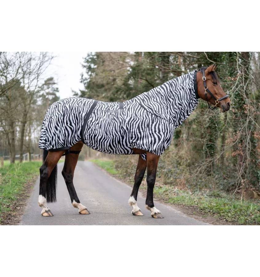 Derka siatkowa Zebra