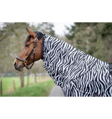 Derka siatkowa Zebra