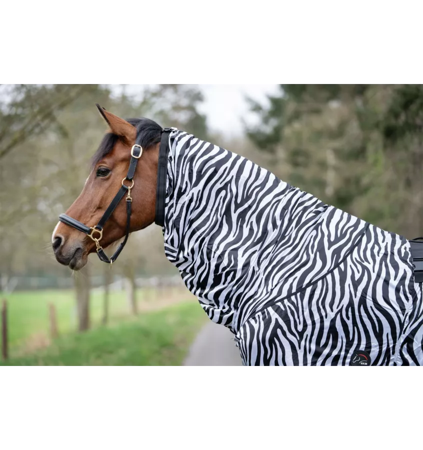 Derka siatkowa Zebra