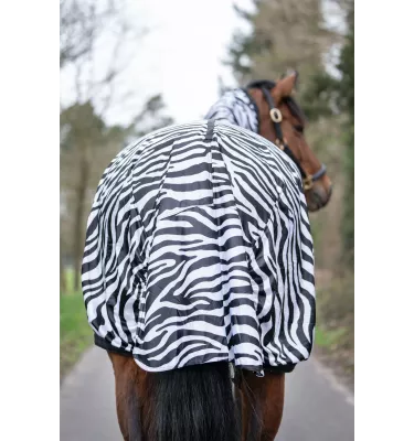 Derka siatkowa Zebra