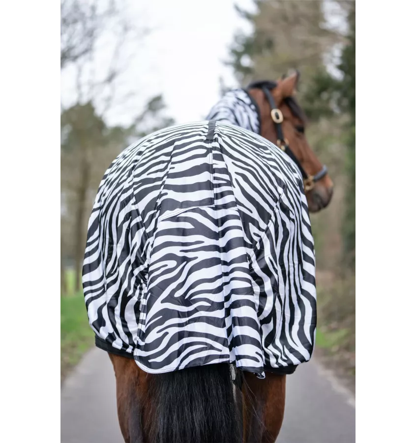 Derka siatkowa Zebra