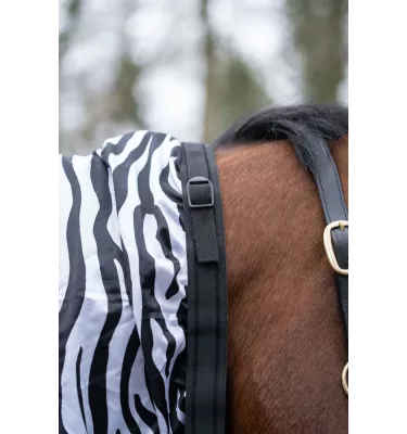 Derka siatkowa Zebra