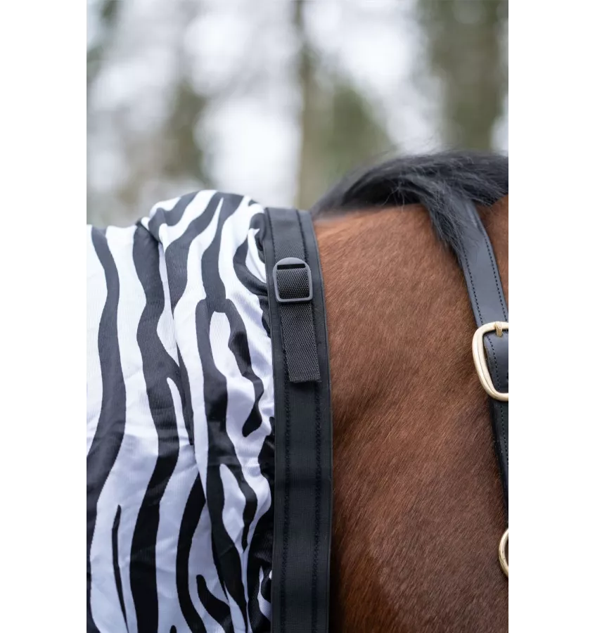 Derka siatkowa Zebra