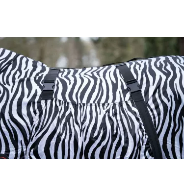 Derka siatkowa Zebra