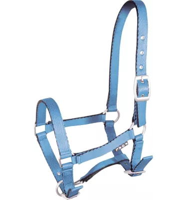 Kantar źrebięcy Tobi, błękitny