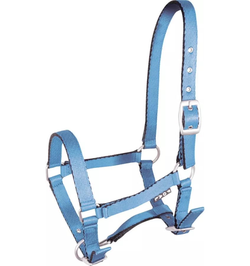 Kantar źrebięcy Tobi, błękitny