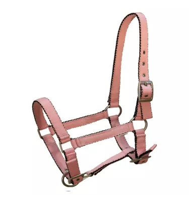 Kantar źrebięcy Tobi, błękitny