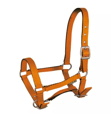 Kantar źrebięcy Tobi, błękitny