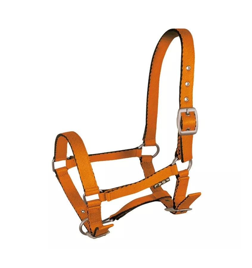 Kantar źrebięcy Tobi, błękitny