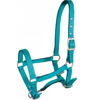 Kantar źrebięcy Tobi, błękitny