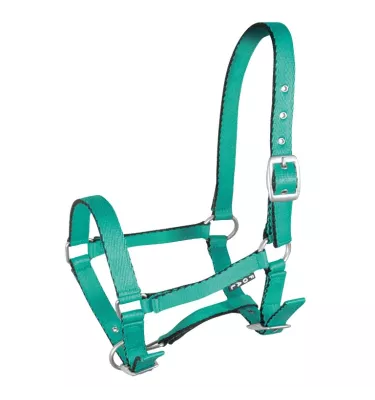 Kantar źrebięcy Tobi, błękitny