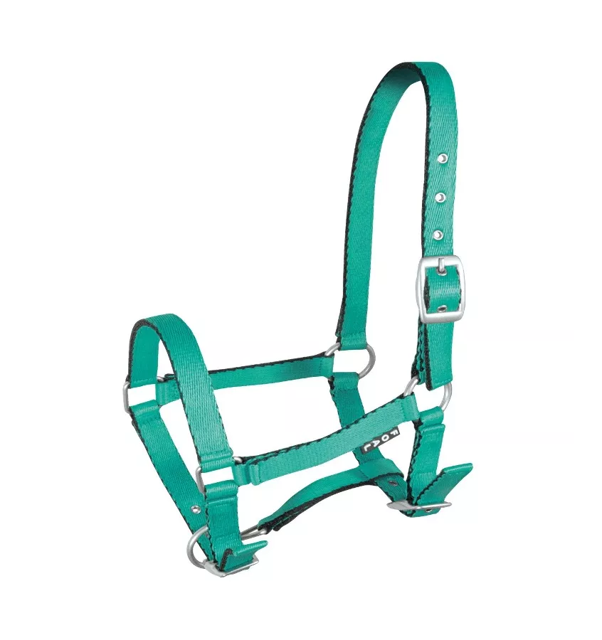 Kantar źrebięcy Tobi, błękitny