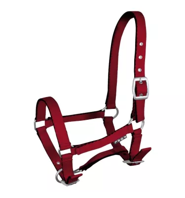 Kantar źrebięcy Tobi, błękitny