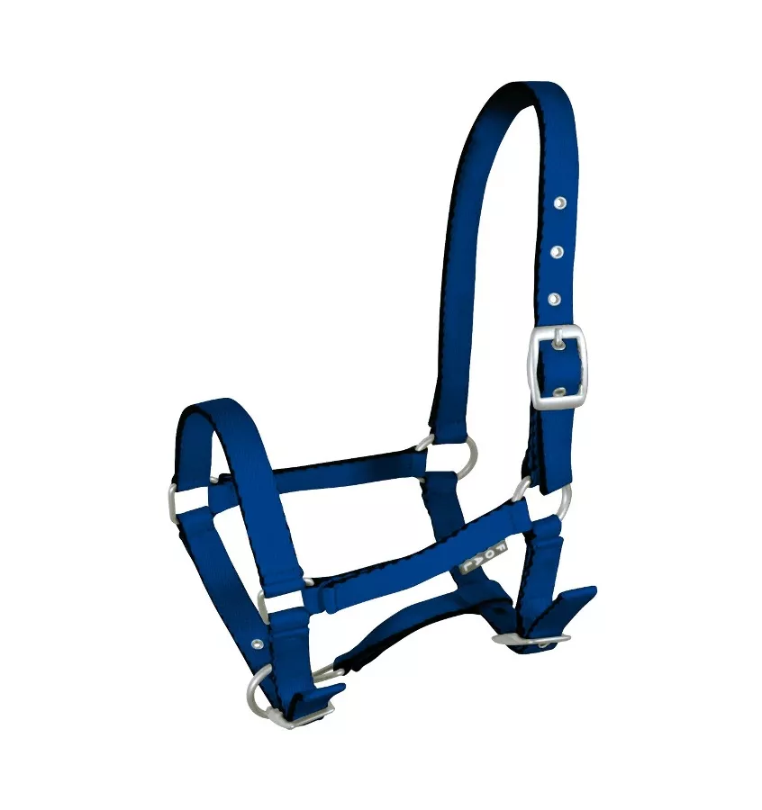 Kantar źrebięcy Tobi, błękitny