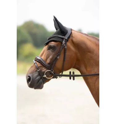 Nauszniki dla konia Daphne błękit cob